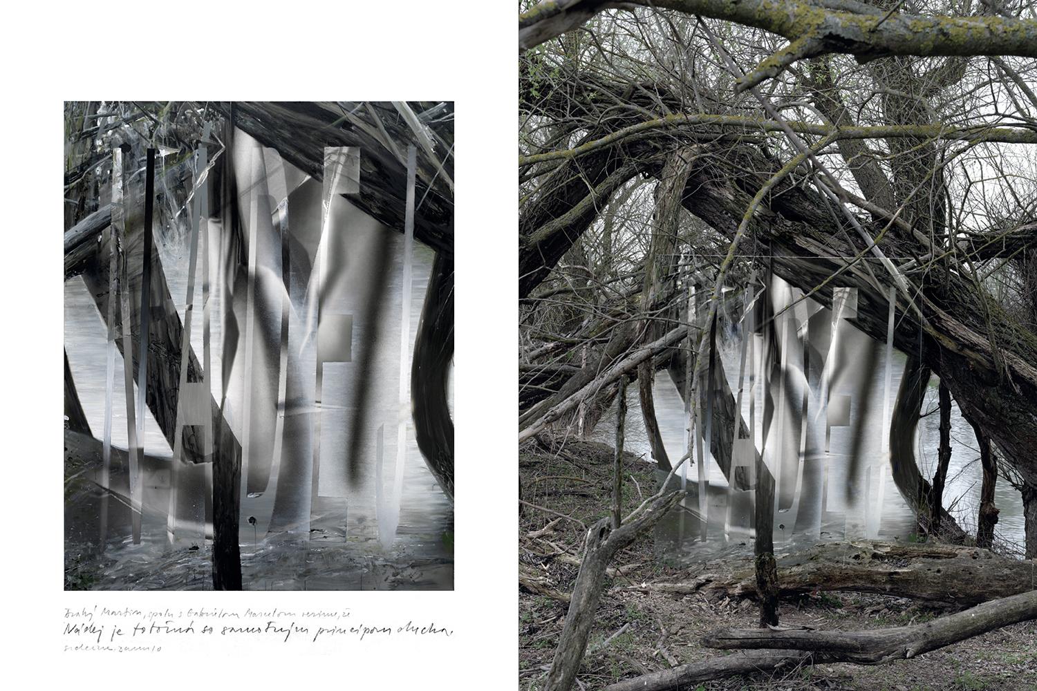 Daniel Fischer: Nádej, diptych, maľba 220 x 170 cm, foto 210 x 160 cm