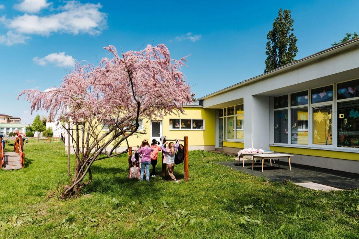 dm ponúka z grantového programu „Školy na zelenú“ príspevok na fotovoltické panely