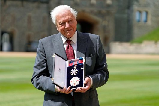 David Attenborough naučil celé generácie vnímať prírodu