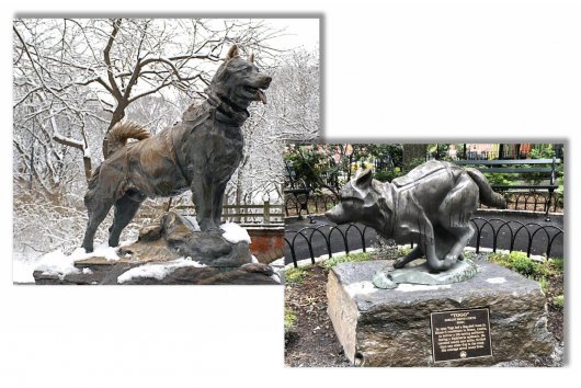 Veľké zvieracie príbehy: Najslávnejší huskyovia na svete