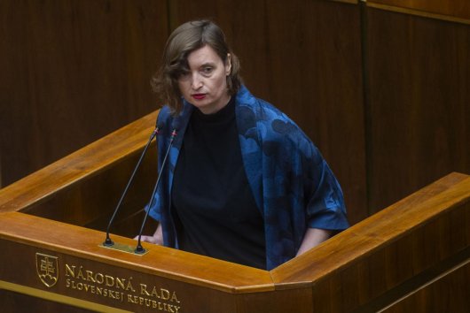 NR SR: Ľudskoprávny výbor mal diskutovať o násilí na ženách, všetci koaliční poslanci sa ospravedlnili
