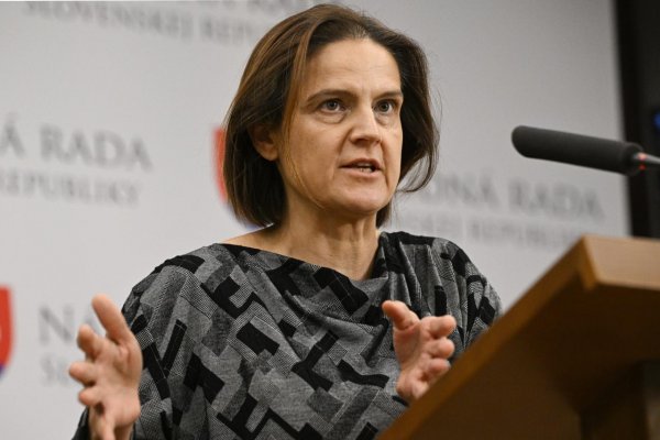 SaS podáva pre nerokovanie o návrhoch na odvolávanie vlády trestné oznámenie