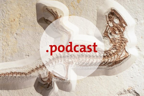 Pseudocast: Nadľudská sila, veľký archeologický nález, osýpky