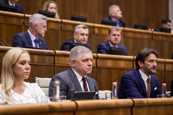 Ficova vláda chce posilniť kontrolu nad mimovládkami iným spôsobom, keďže ústavný súd vládnu novelu stopol