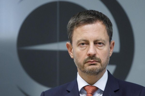 Heger: Pokúsim sa o to, aby Slovensko predčasné voľby nečakali 