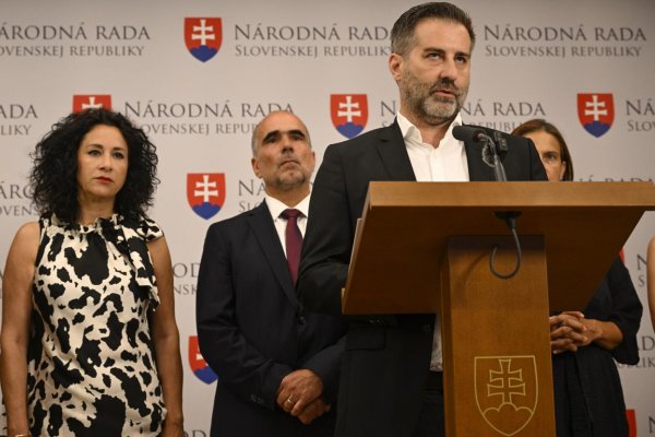 SaS podala podnet na Generálnu prokuratúru pre nečinnosť Fondu na podporu umenia