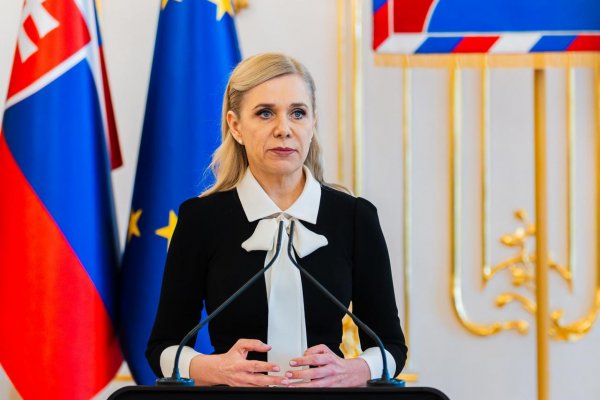 SaS kritizuje zvýšenie poplatkov za prepravu plynu od mája, Saková sa mala podľa nich zapojiť do cenového konania