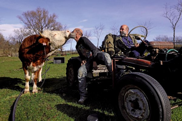 O českých samotároch a Werichovi