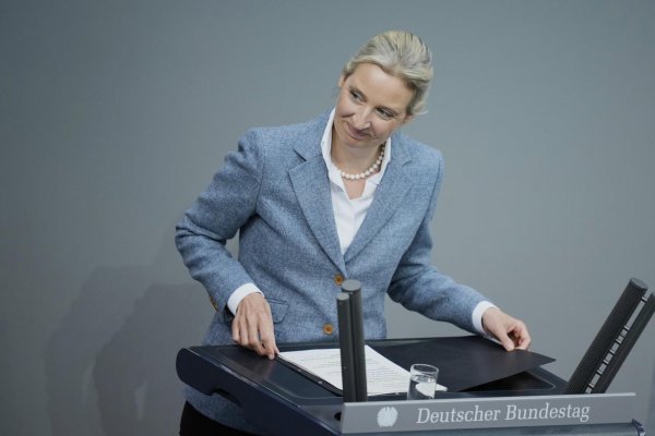 Nemecká kontrarozviedka označila AfD za pravicovo-extrémistickú organizáciu