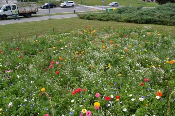 Levice budú šetrnejšie k prírode