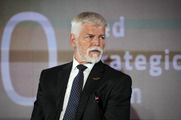 Turek adoroval nacistické Nemecko a zľahčoval násilné činy, uviedol Pavel v liste Babišovi