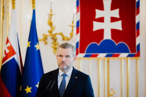 SNS: Pellegrini nesie plnú politickú zodpovednosť za nomináciu Dolinkovej aj Šaška, zrušenie tendra na sanitky je v jeho rukách