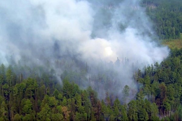 V Rusku nehasia lesné požiare na území s rozlohou vyše milióna hektárov