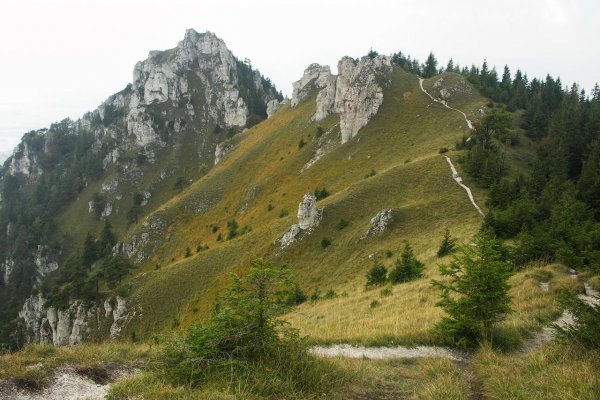 Správu Národného parku Veľká Fatra dočasne povedie Roman Fajth