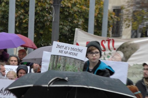 Ľudia prišli do Banskej Bystrice brániť lesy