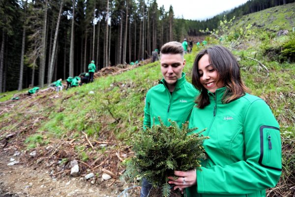 Zasaď strom, zachráň planétu. Iba výsadba zelene ale na zvrátenie globálnej krízy nestačí