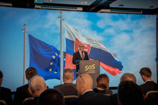 SaS kritizuje skrátenú debatu k zákone o neziskovkách i jeho nejasný obsah