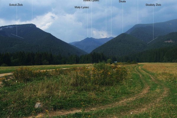 Pripravovaná zonácia TANAP-u môže podľa My sme les poškodiť Jaloveckú dolinu