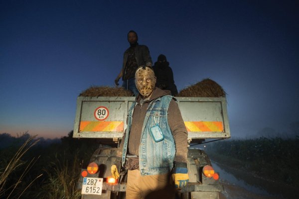 Filmy .týždňa: Tarantino na Hané, Ken v kozme a Hitler na letáku