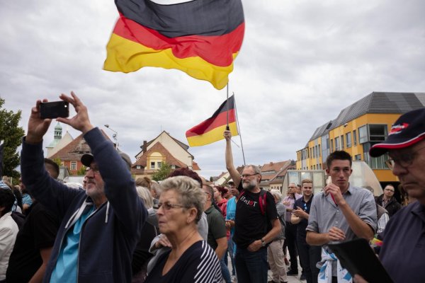 AfD je ako špongia, pripomína kotlebovcov. Predčasné voľby zatiaľ Nemecku nehrozia