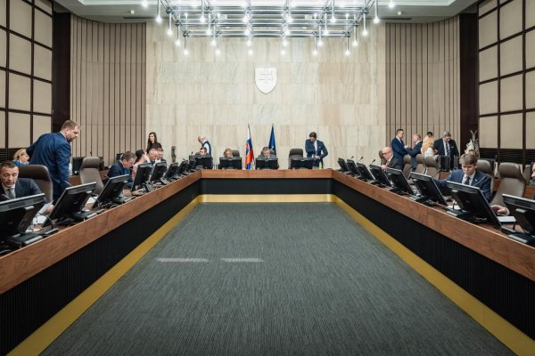 Amnesty International Slovensko vyzýva vládu, aby prestala prenasledovať mimovládne organizácie