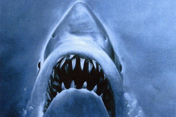Spielbergove Čeľuste boli prvým blockbusterom.  Žralok Bruce sa vďaka nim stal legendou, svojmu druhu ale uškodil