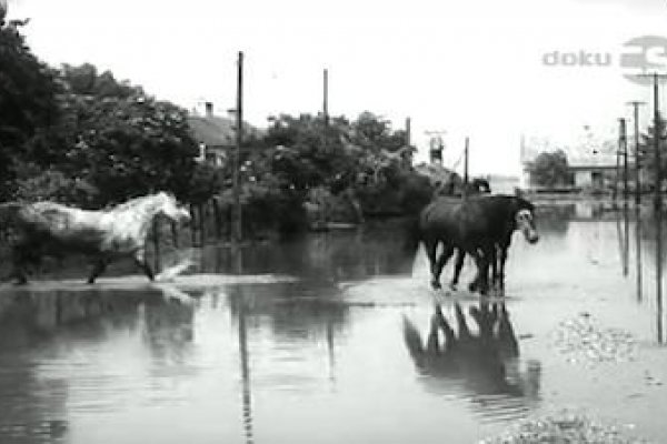 Povodeň na Žitnom ostrove v roku 1965