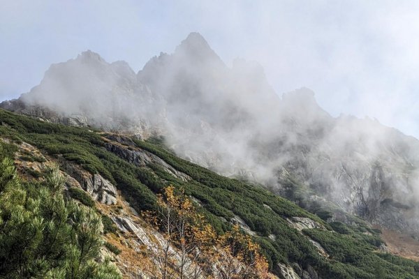 Ukrajinské deti vytrhli na pár dní z vojnového prostredia, snívajú len o mieri