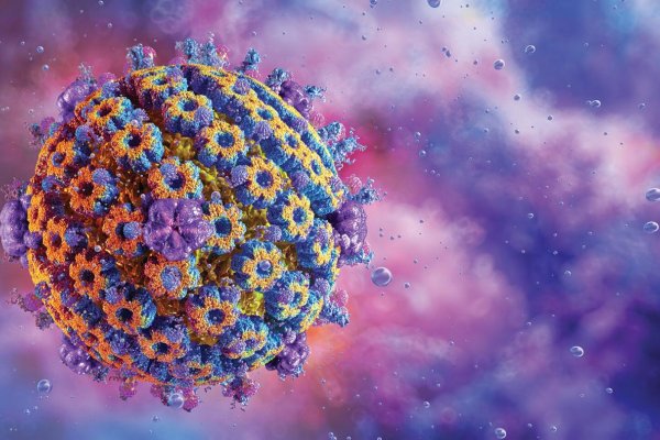 Herpesvírus v službách demencie