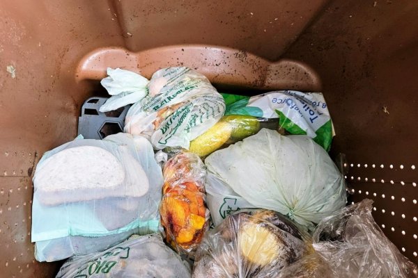 Zber kuchynského odpadu sťažujú aj nevhodné nádoby. Dodávateľ techniky zdieľa skúsenosti 