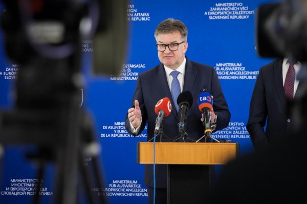 SNS vyzýva Lajčáka na zverejnenie toho, či mal od Epsteina majetkové výhody