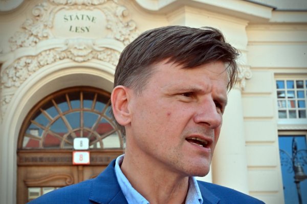 Envirorezort je skôr ministerstvom deštrukcie než ochrany životného prostredia, uviedol Hlina