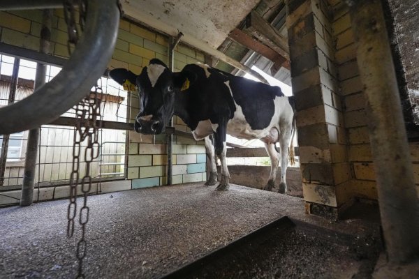 Česko bude na hranici so SR kontrolovať všetky nákladné autá