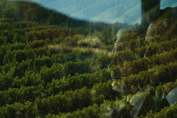 Dôvera v partnerstvo, ktorá pretrváva naprieč generáciami