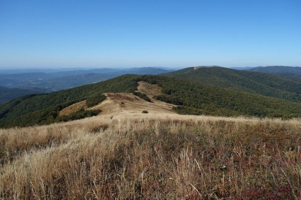 Poloniny v ohrození – chystá sa ďalšia rana ochrane slovenskej prírody