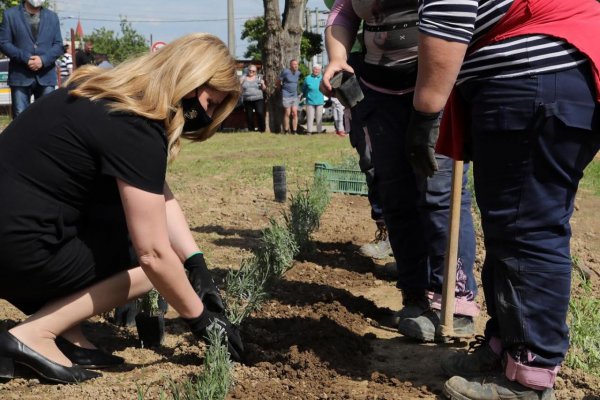 Prezidentka Čaputová: Napriek úsiliu je stav životného prostredia stále neuspokojivý