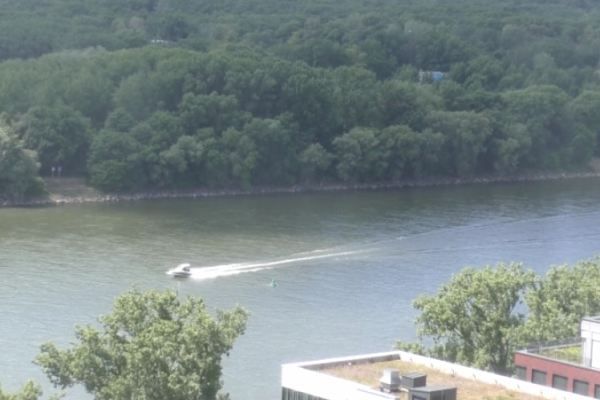 Nechá si Bratislava ukradnúť svoje zelené pľúca?