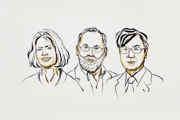 Nobelov výbor zase posunul do reflektorov imunológiu – prečo?