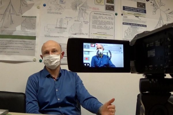 Svet sa blíži k cieľu, vakcína na Covid-19 je reálna, hovorí virológ Klempa