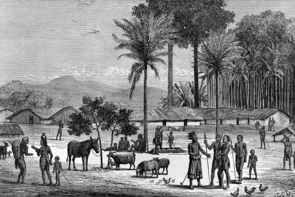 Prečo je Afrika čierna?